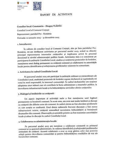 Raport activitate Vladau Constantin Dragoș